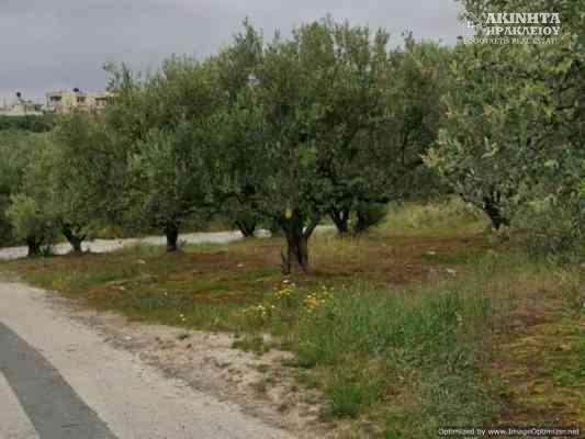 εικόνα_Viber_2026-02-13_14-58-04-384.jpg
